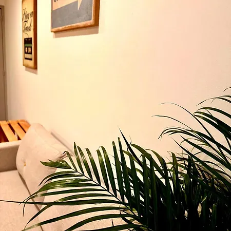 Le Renaissance Au Coeur De