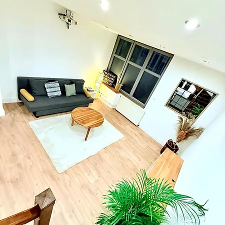 Le Renaissance Au Coeur De Appartement Langres