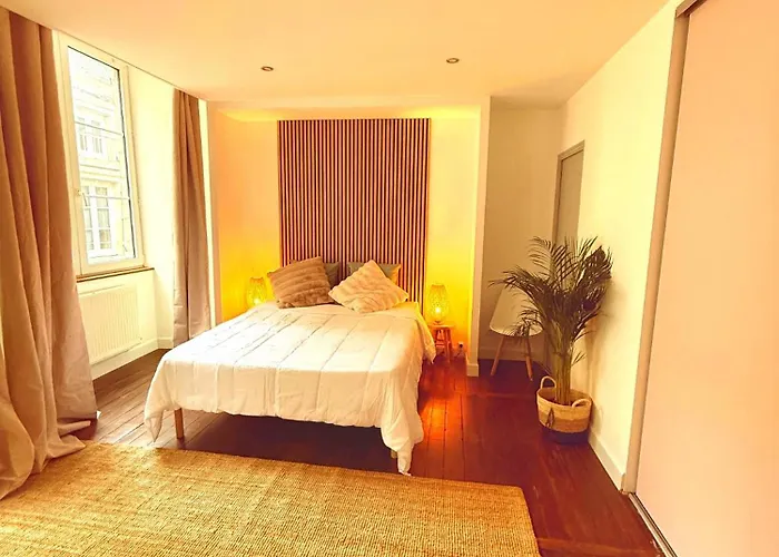 Le Renaissance Au Coeur De Appartement Langres